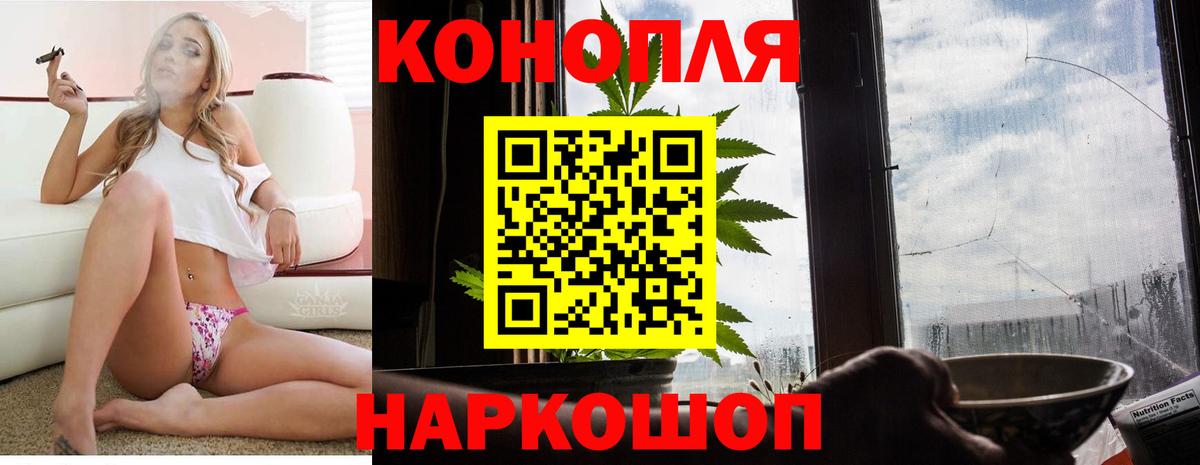 Канабис сатива  Конопля планчик  Вход с VPN  Миллерово 